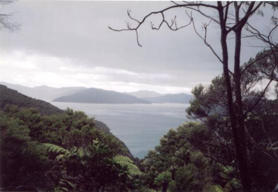 Queen Charlotte Sound