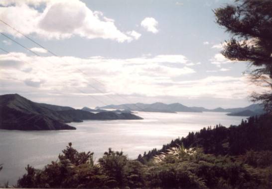 Kenepuru Sound