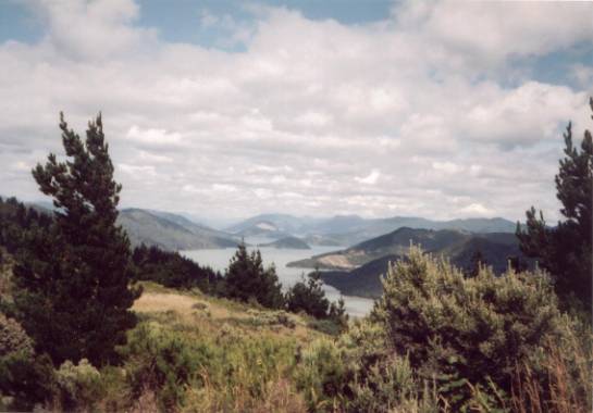 Queen Charlotte Sound