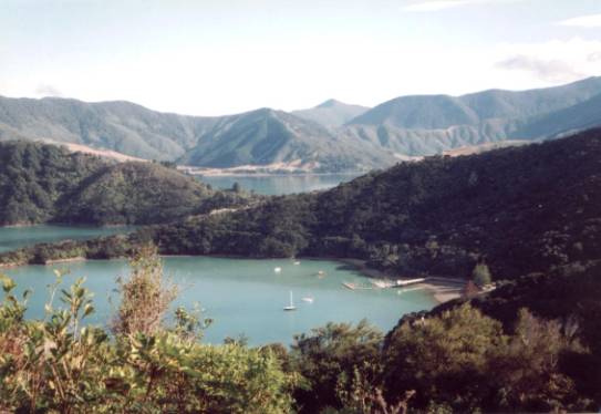 Cowshed Bay, Kenepuru Sound