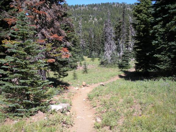 Pacific Crest Trail, Oregon, Section F