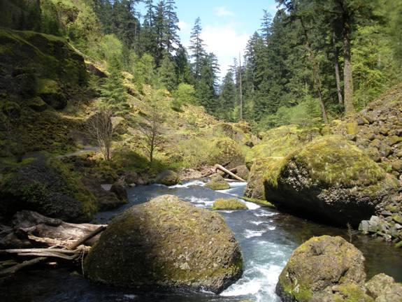 Looking Downstream